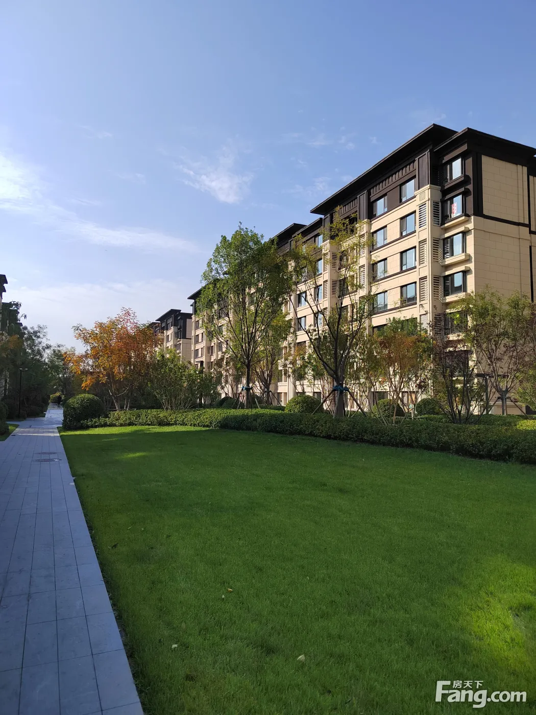 龙湖樘樾怎么样看现场置业顾问发布了2条项目新消息