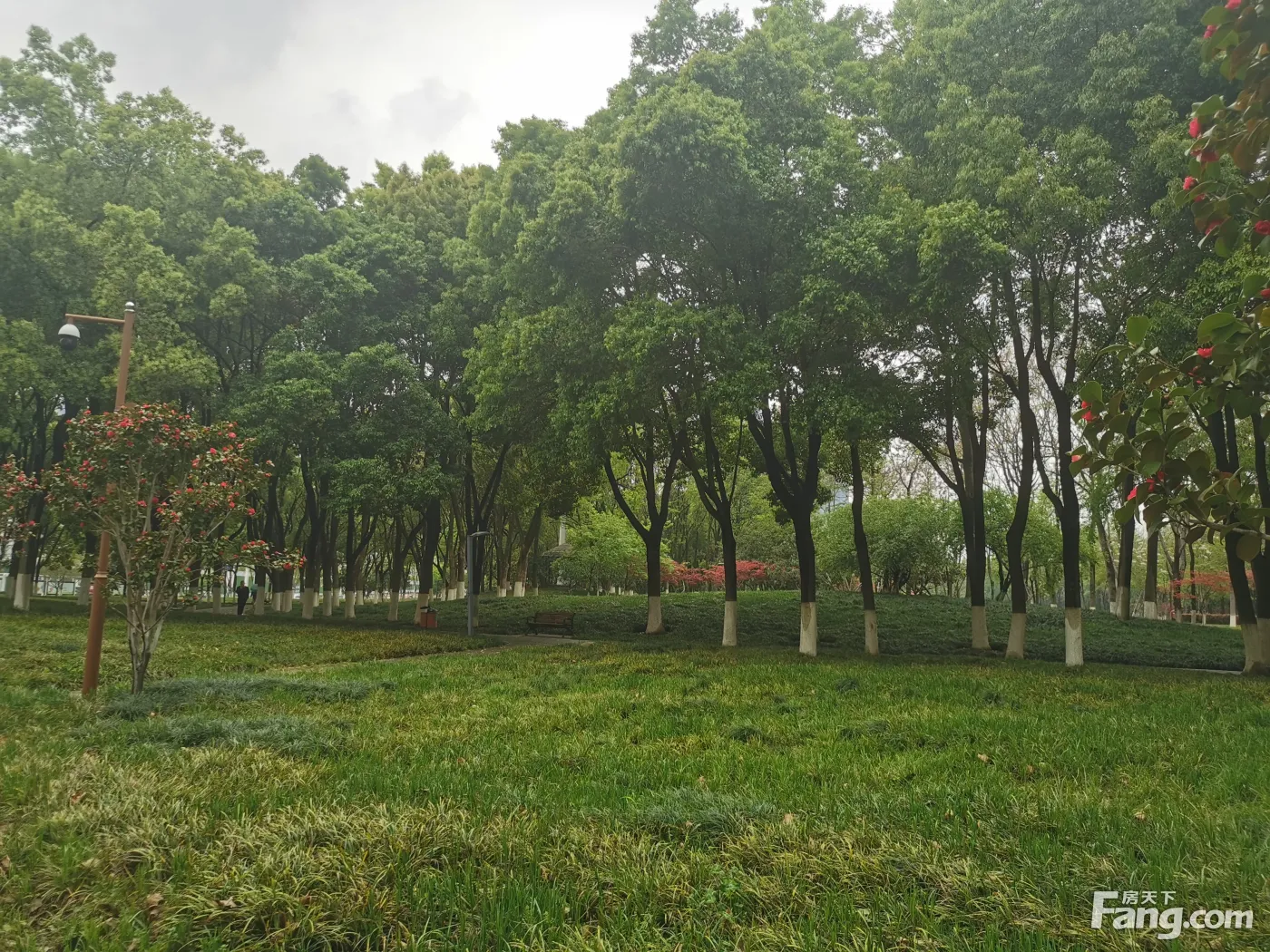 周邊環繞泛海體育公園,後襄河公園,王家墩公園以及夢澤湖公園目前