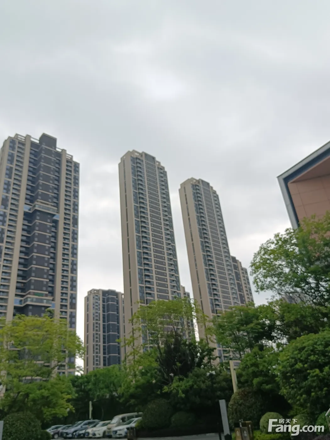 方岛金茂智慧科学城好不好置业顾问从项目现场发回新组图