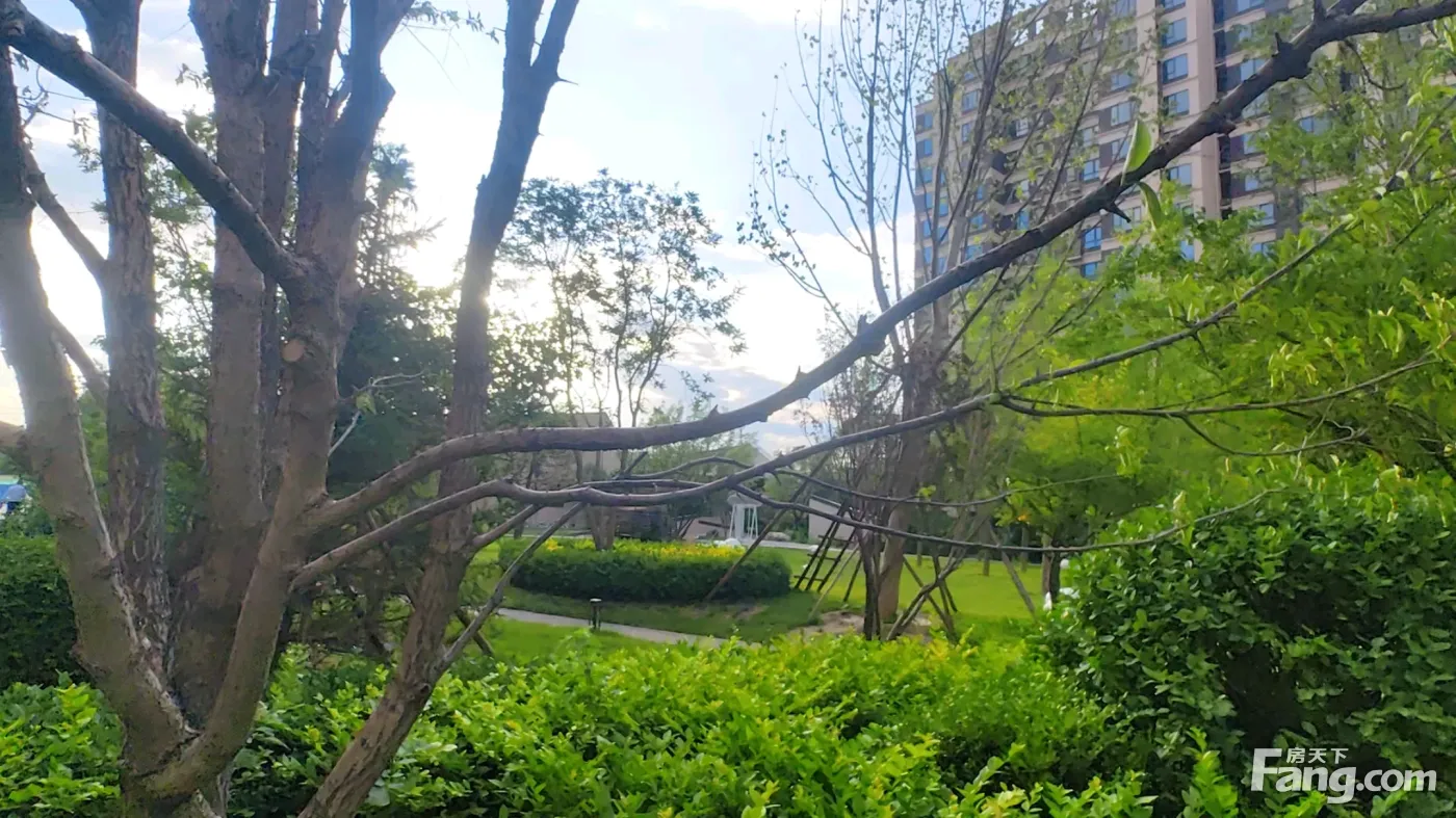 住总首开保利熙悦雲上新拍现场谍照,实时了解楼盘新动态!-房产资讯-北京房天下