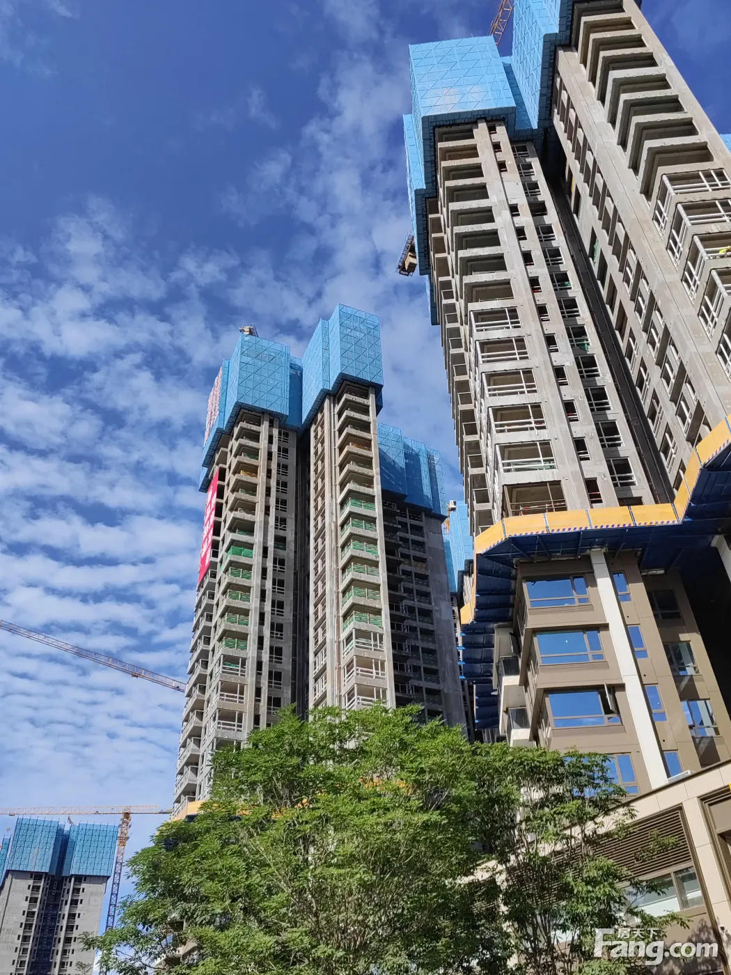 置业顾问从项目现场发回新组图-深圳新房网-房天下