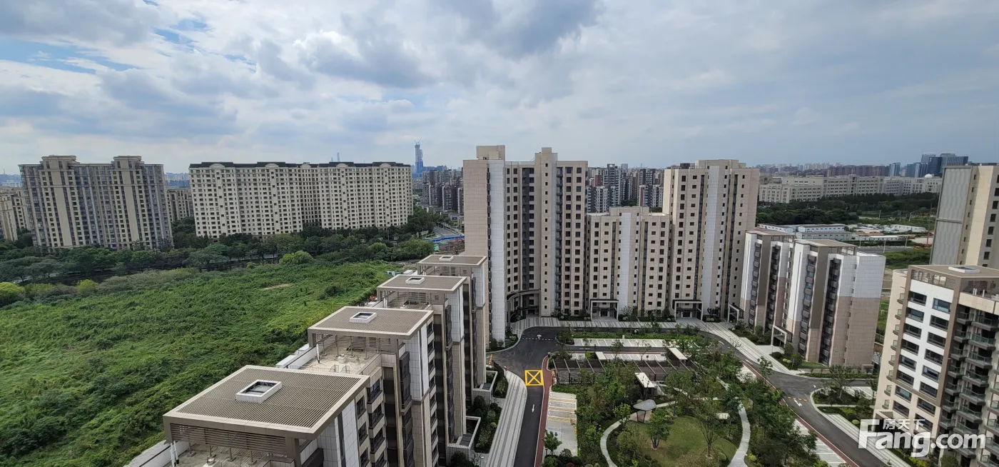 上港星江湾让人流连忘返08月最新动态快来看看它的美景