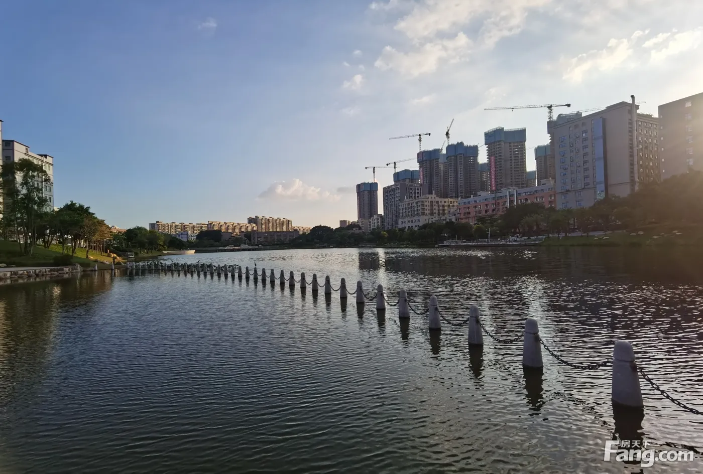 房天下>深圳新房>楼盘资讯>正文>珈誉府东边的万丰湖湿地公园,日常