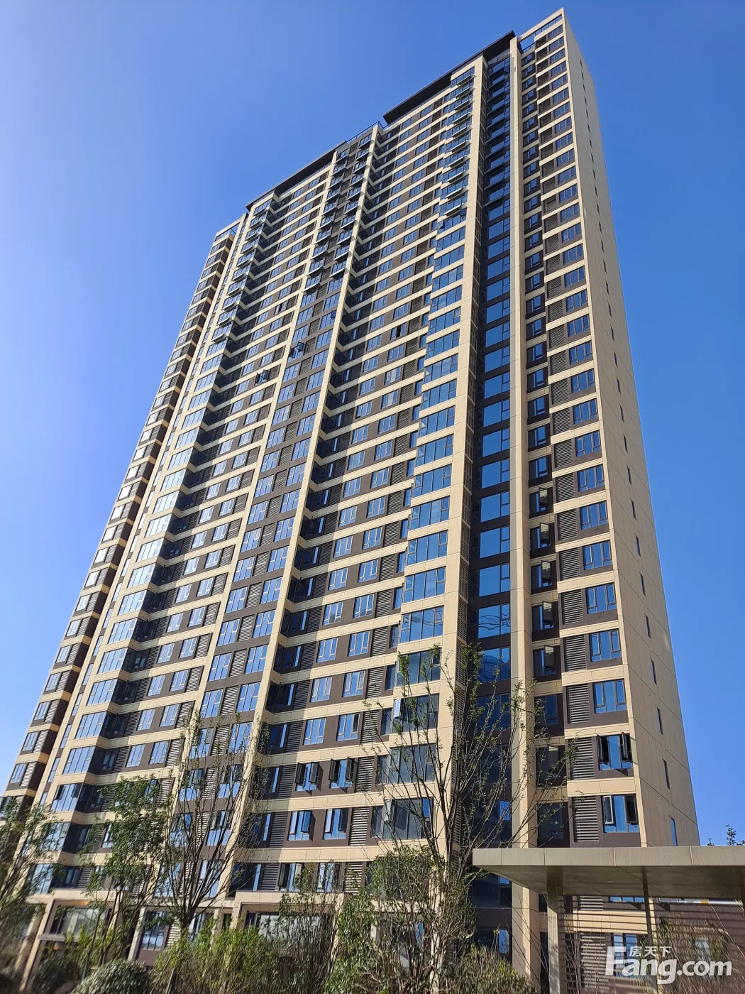 11月最新动态置业顾问带你亲身体验信达地产天纵第五园