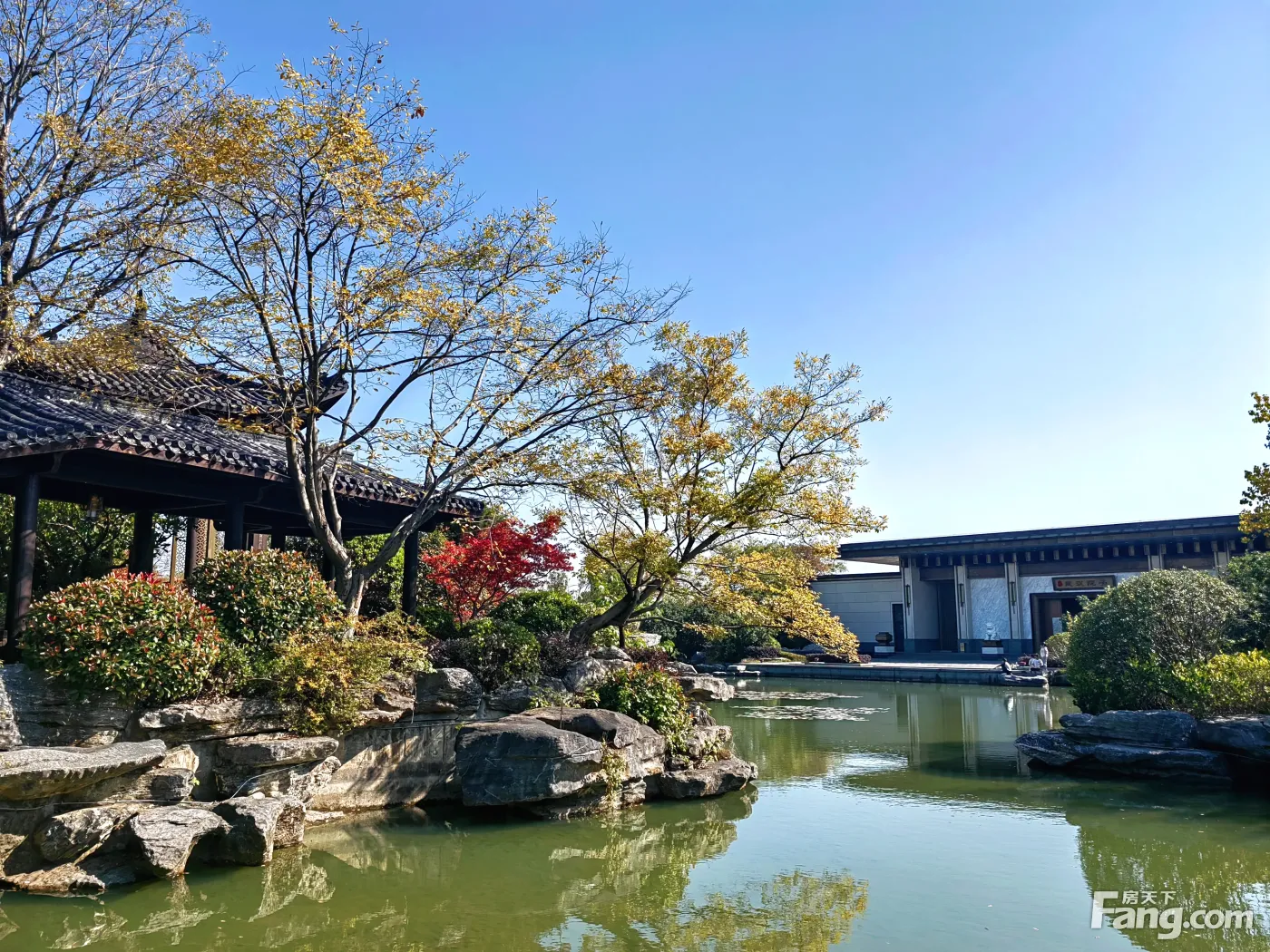 武汉城建泰禾武汉院子让人惊艳11月最新动态快来看看它的魅力