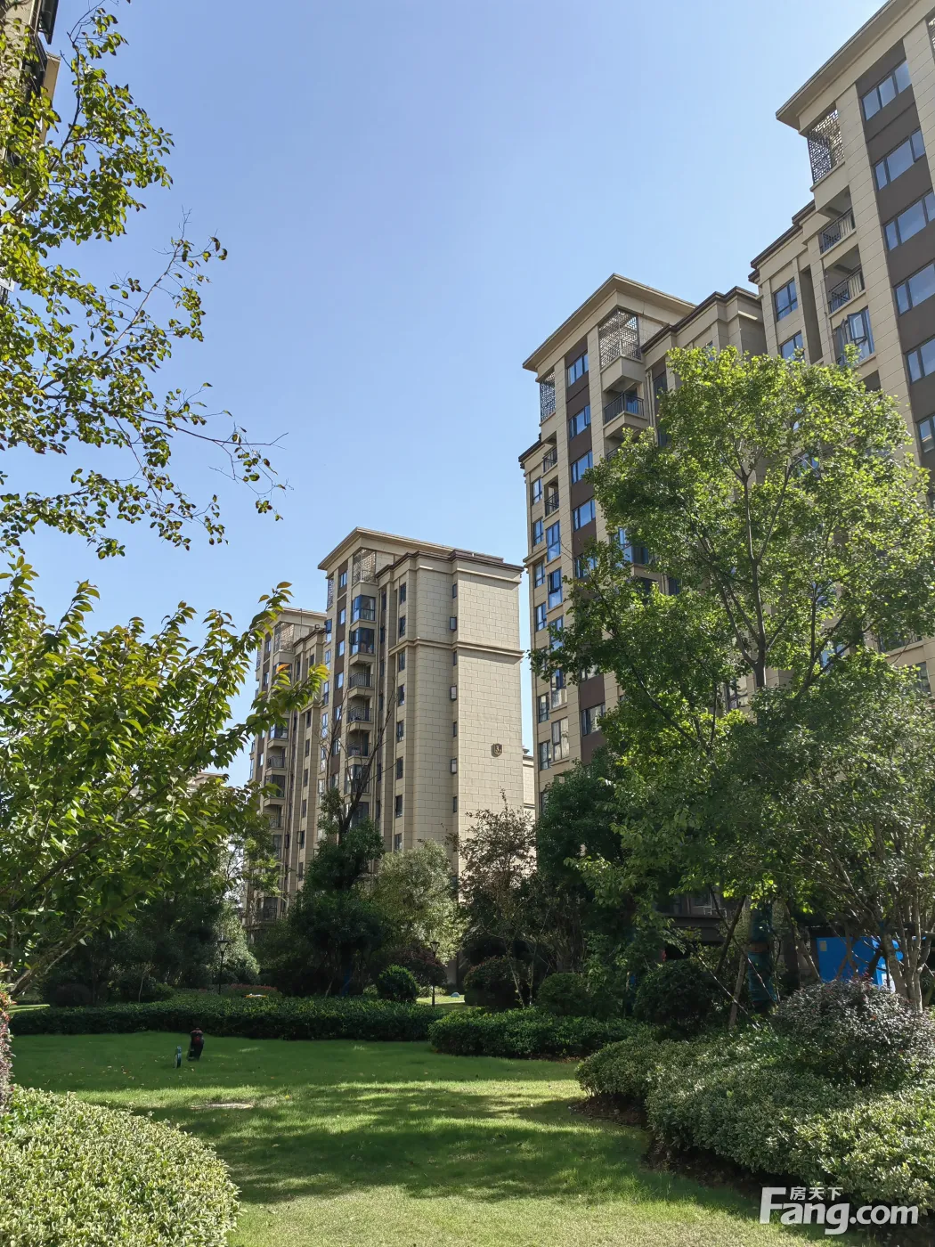 天纵御景湾有什么亮点11月最新动态置业顾问为你精彩呈现