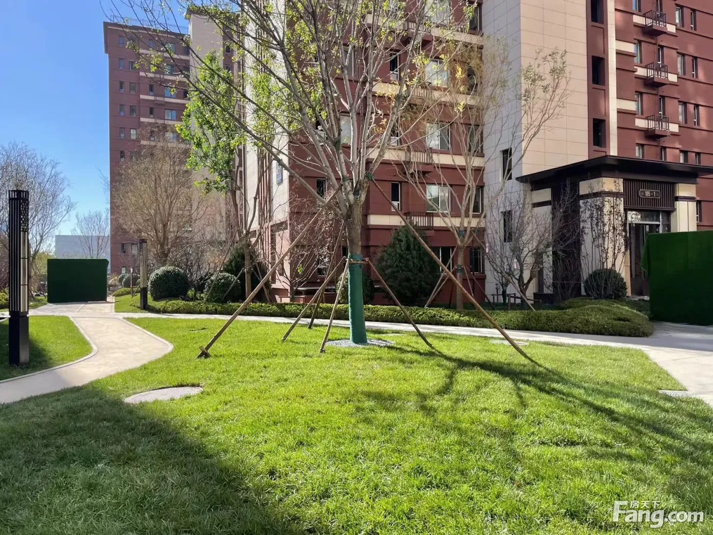 龙湖天境丨尘林间有什么样居住的体验11月最新动态置业顾问为你真诚
