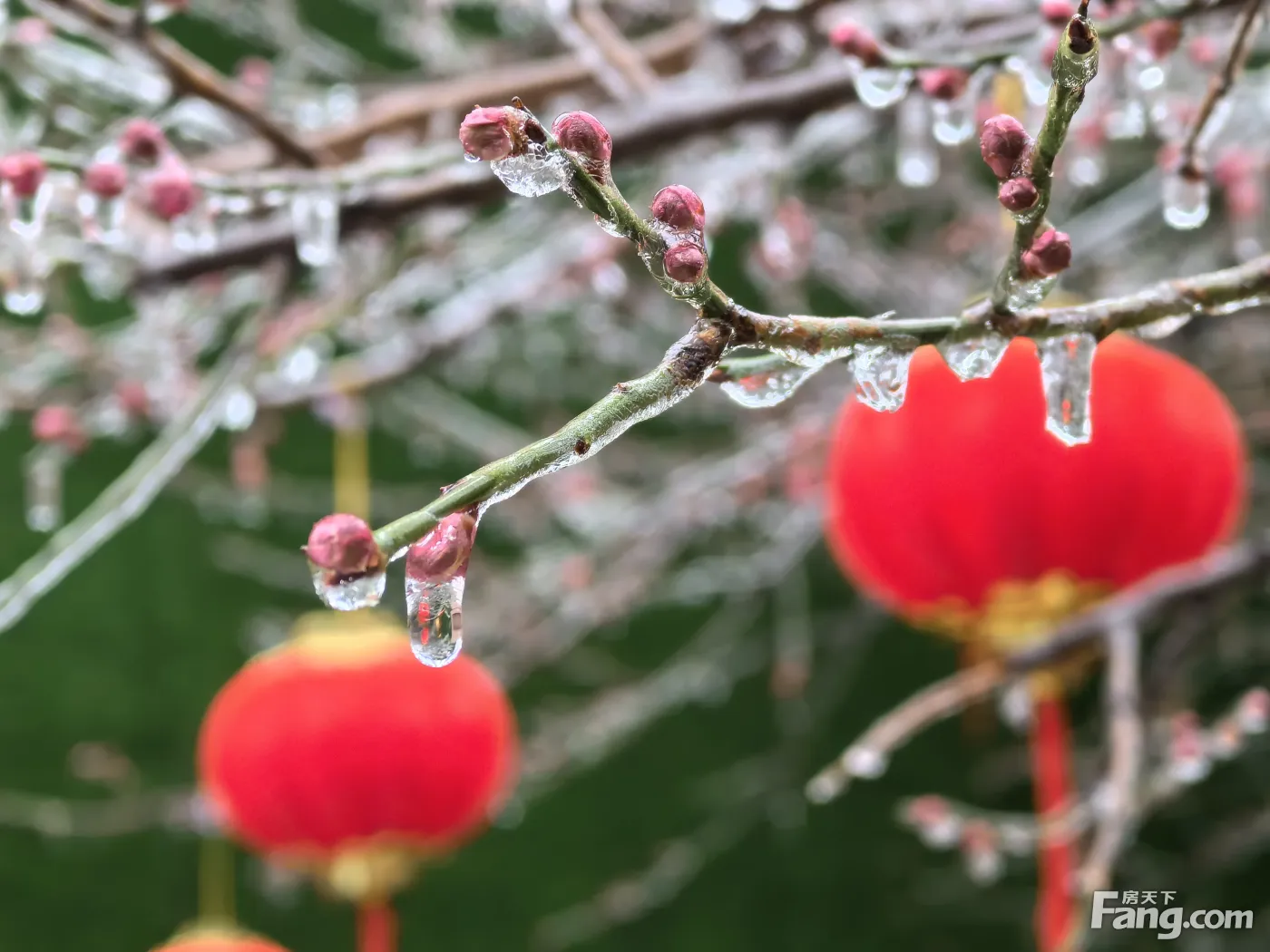 今日份小冰雨,不一樣的景觀環境.高層洋房現房在售.