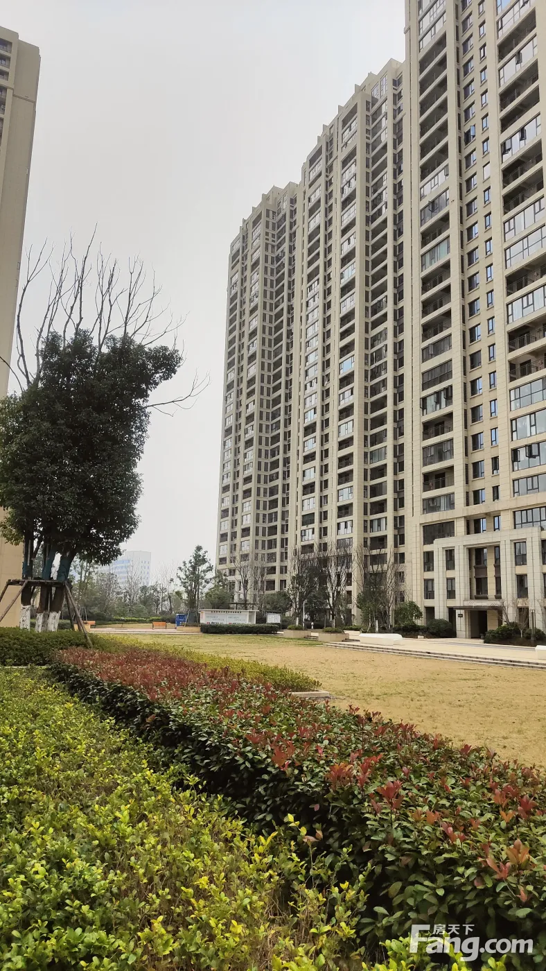 置业顾问亲自拍摄的天纵御府02月最新动态让你感受到现场的氛围