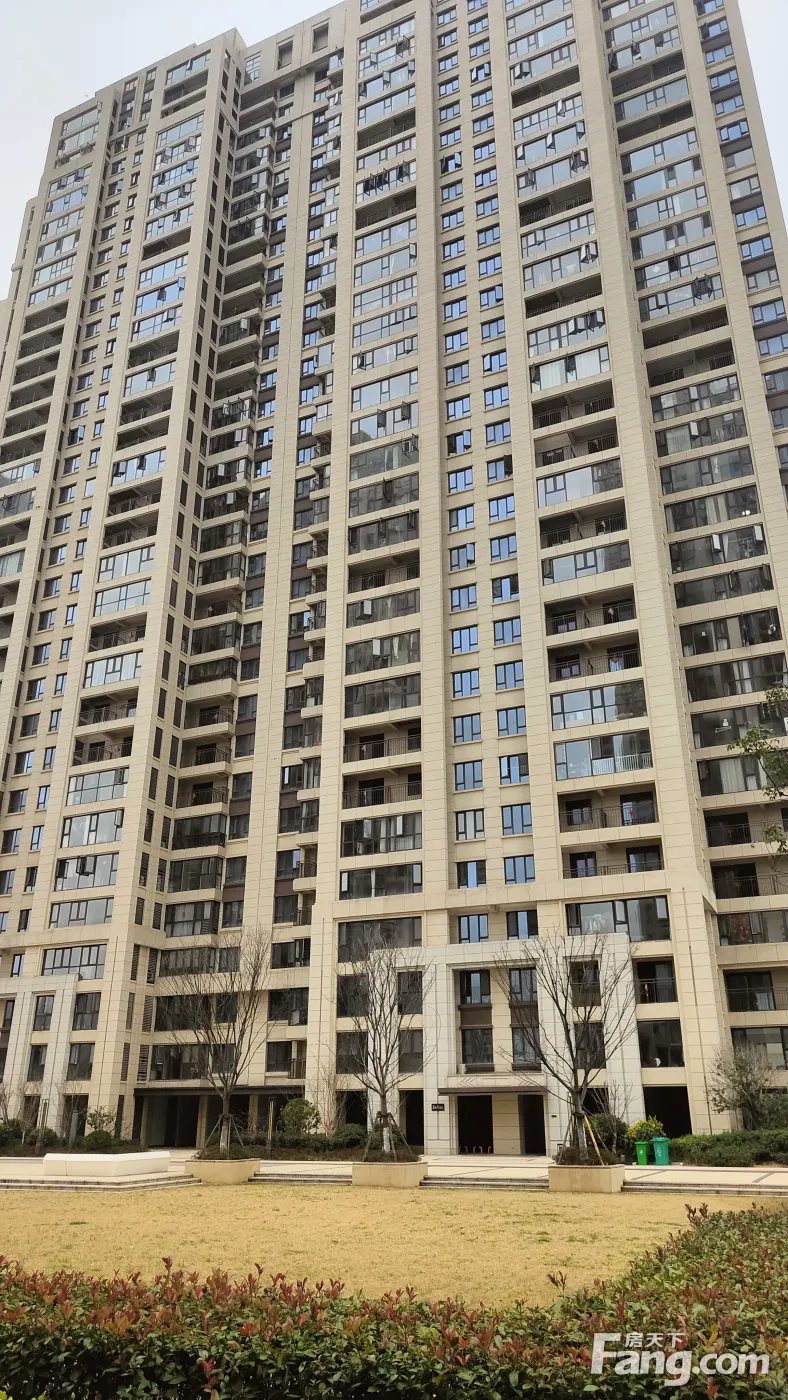 置业顾问亲自拍摄的天纵御府02月最新动态让你感受到现场的氛围