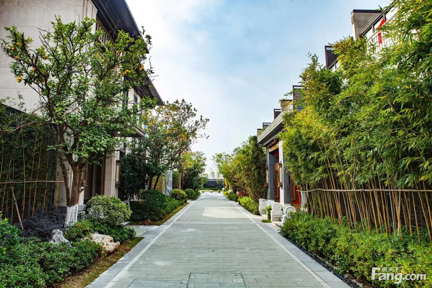 武汉城建泰禾武汉院子03月最新动态置业顾问为你全方位展示