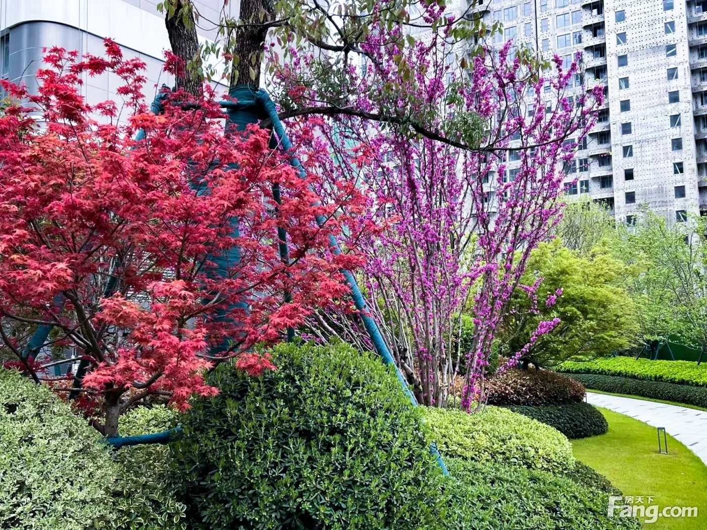 中国铁建·花语云萃项目预售_开盘_优惠_交房信息 - 苏州房天下