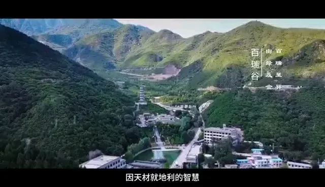 05月最新动态置业顾问为你精彩演示!