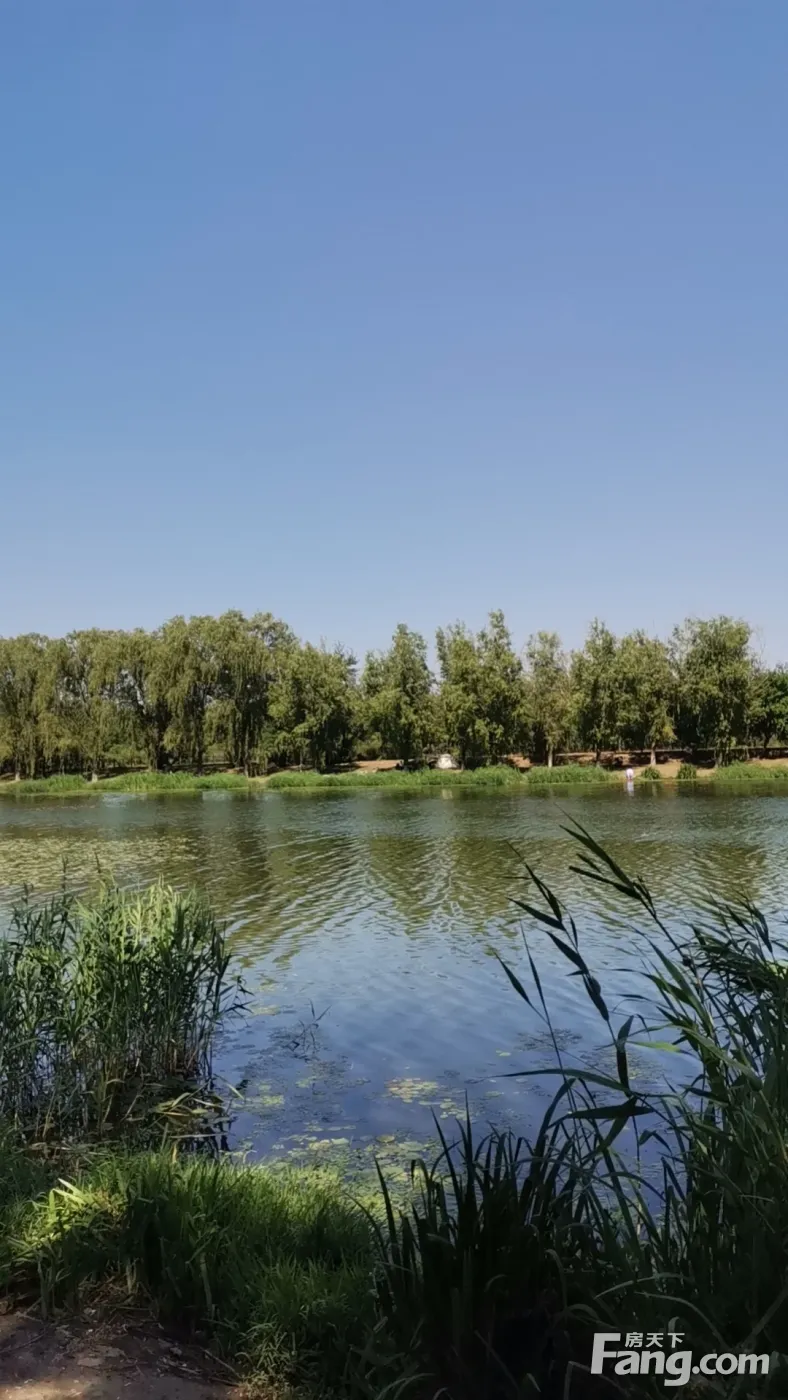 城建和知筑项目向东大约两公里就是知名的万亩滨水森林公园,以小清河