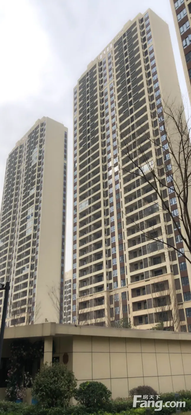 依云水岸好不好?置业顾问从项目现场发回新组图-武汉新房网-房天下