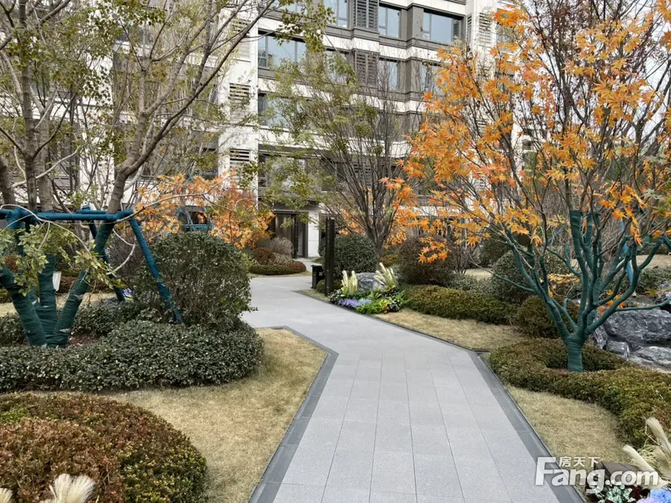 龙湖天璞怎么样看现场置业顾问发布了5条项目新消息