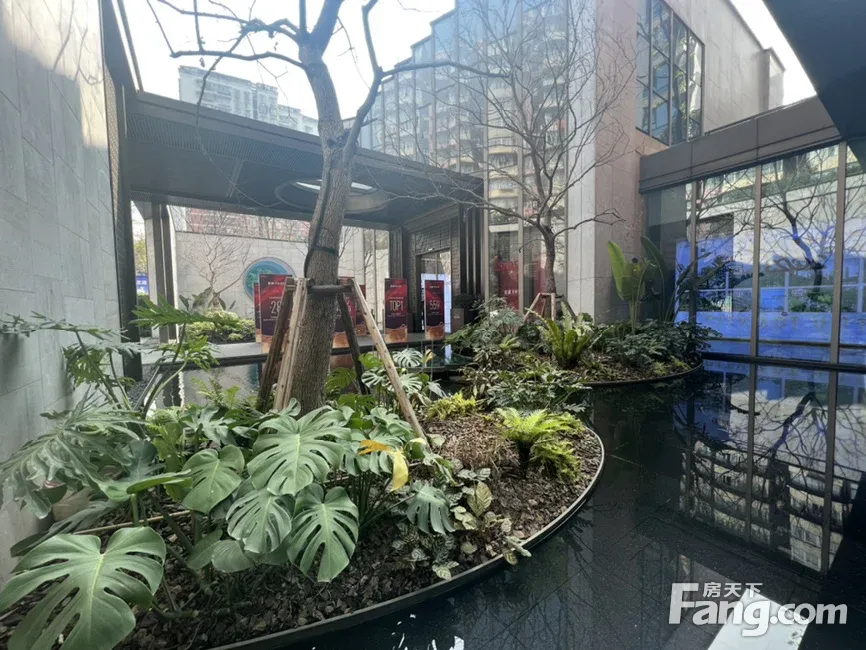 楼盘地址:黄桷坪正街