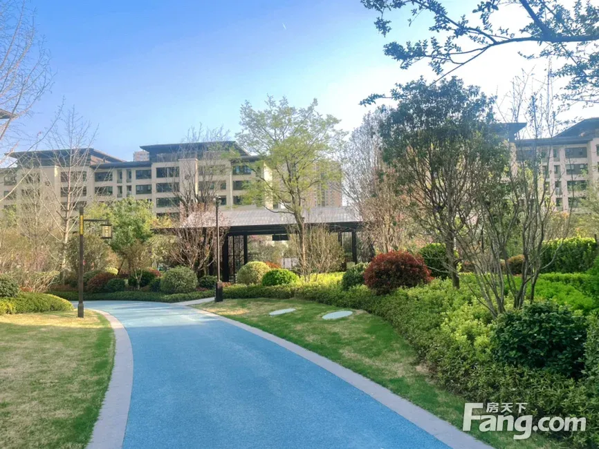 凯瑞国宝红瞰新拍现场谍照实时了解楼盘新动态