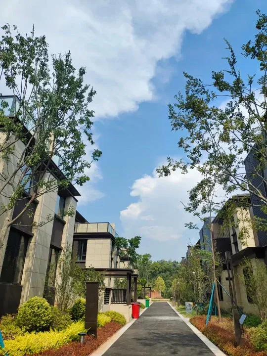 中粮瑞府怎么样看现场置业顾问发布了5条项目新消息