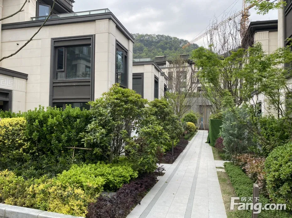 联发山晓新拍现场图片实时了解楼盘新动态