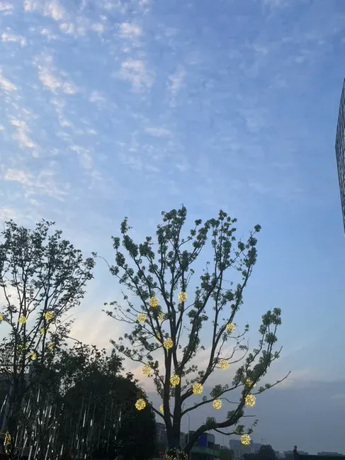 ´�ȳ��й�԰