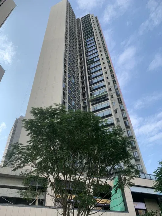 11月最新动态置业顾问带你亲身体验润曦府