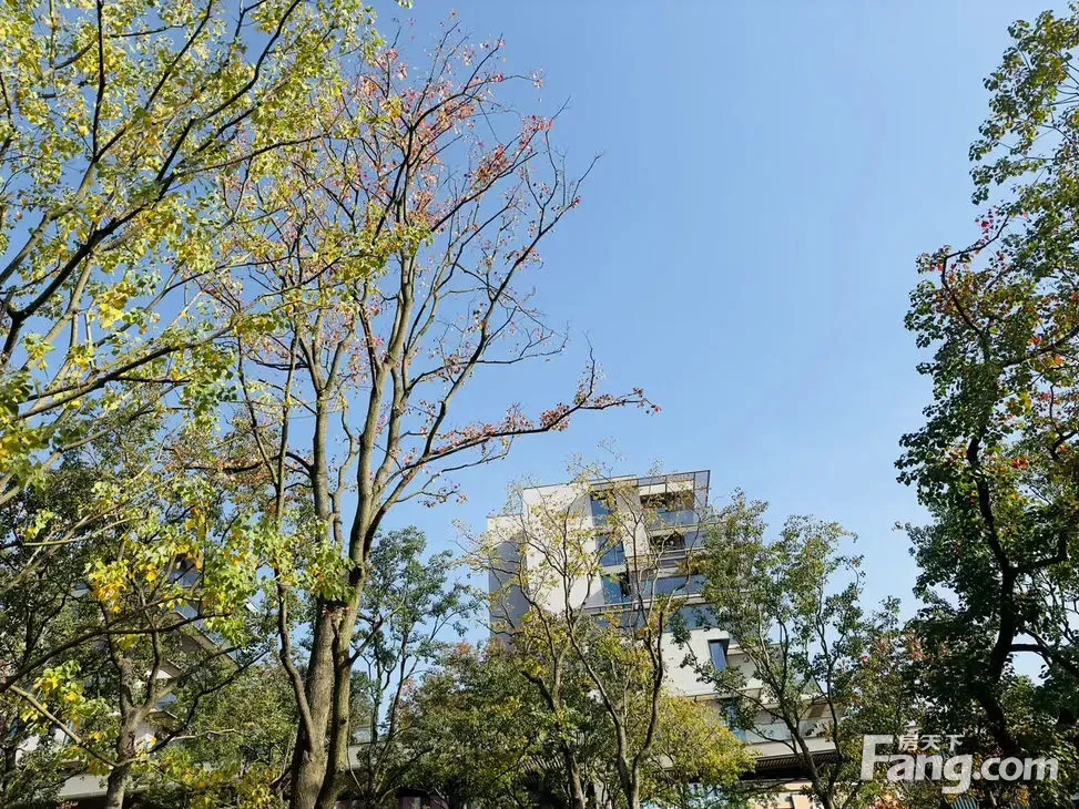 重庆中央公园悦府让人流连忘返11月最新动态快来看看它的美景