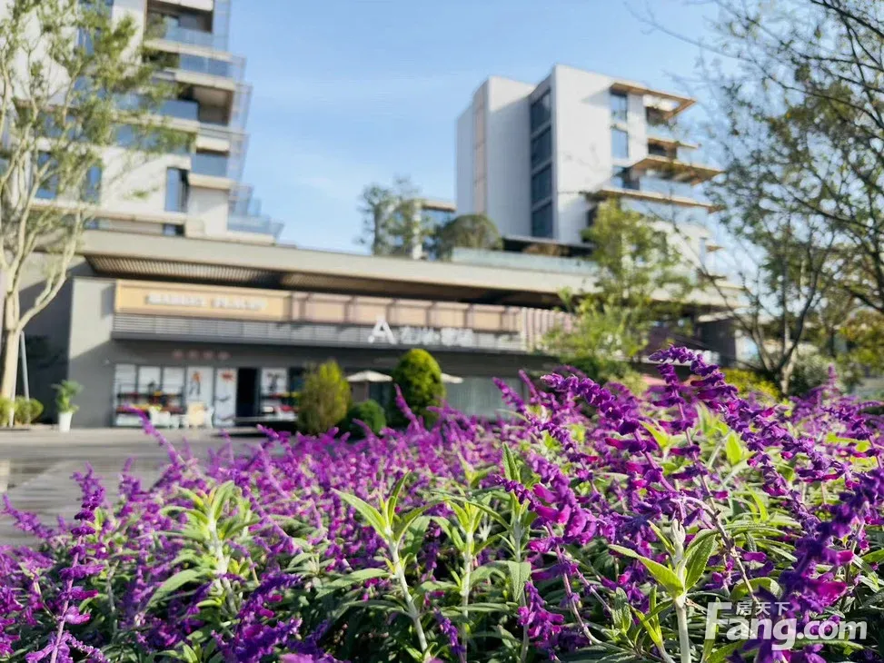 楼盘资讯>正文>欢迎大家前来悦府实地参观近期在关注重庆中央公园悦府