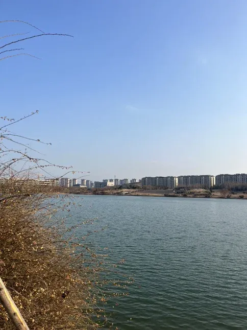 徐州新房网-房天下