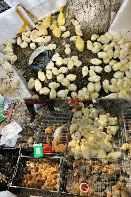 京熙润府05月最新动态让我心动不已,要去看看!