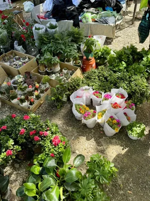 京熙润府05月最新动态让我心动不已,要去看看!