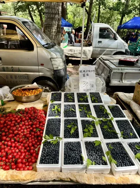 京熙润府05月最新动态让我心动不已,要去看看!