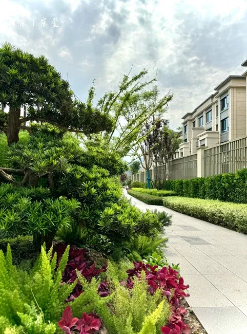 想买房的朋友看过来,龙湖康田麓宸05月最新动态有你想要的一切!新组图