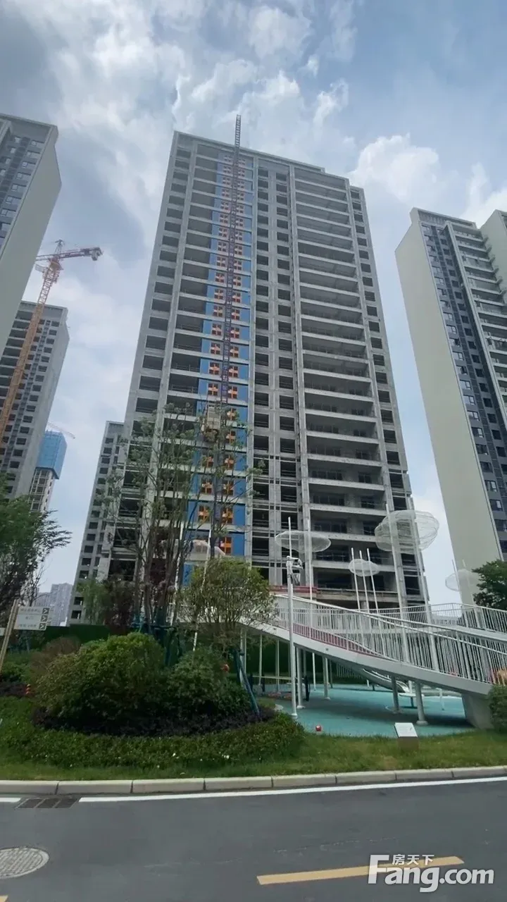 碧桂园·中梁·金科·桃李江山值得你拥有吗?