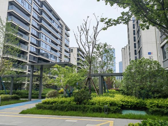 绿城·春来云潮实景图