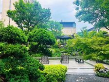 中交建发松雅院5室2厅南